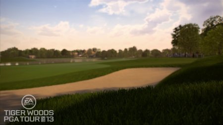 Tiger Woods PGA Tour 13 (2012) Xbox360
