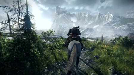 The Witcher 3: Wild Hunt (2014) The Witcher 3: Wild Hunt (2014)