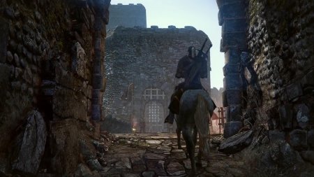 The Witcher 3: Wild Hunt (2014) The Witcher 3: Wild Hunt (2014)